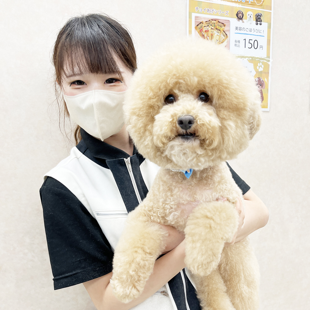 毎日がんばっています！